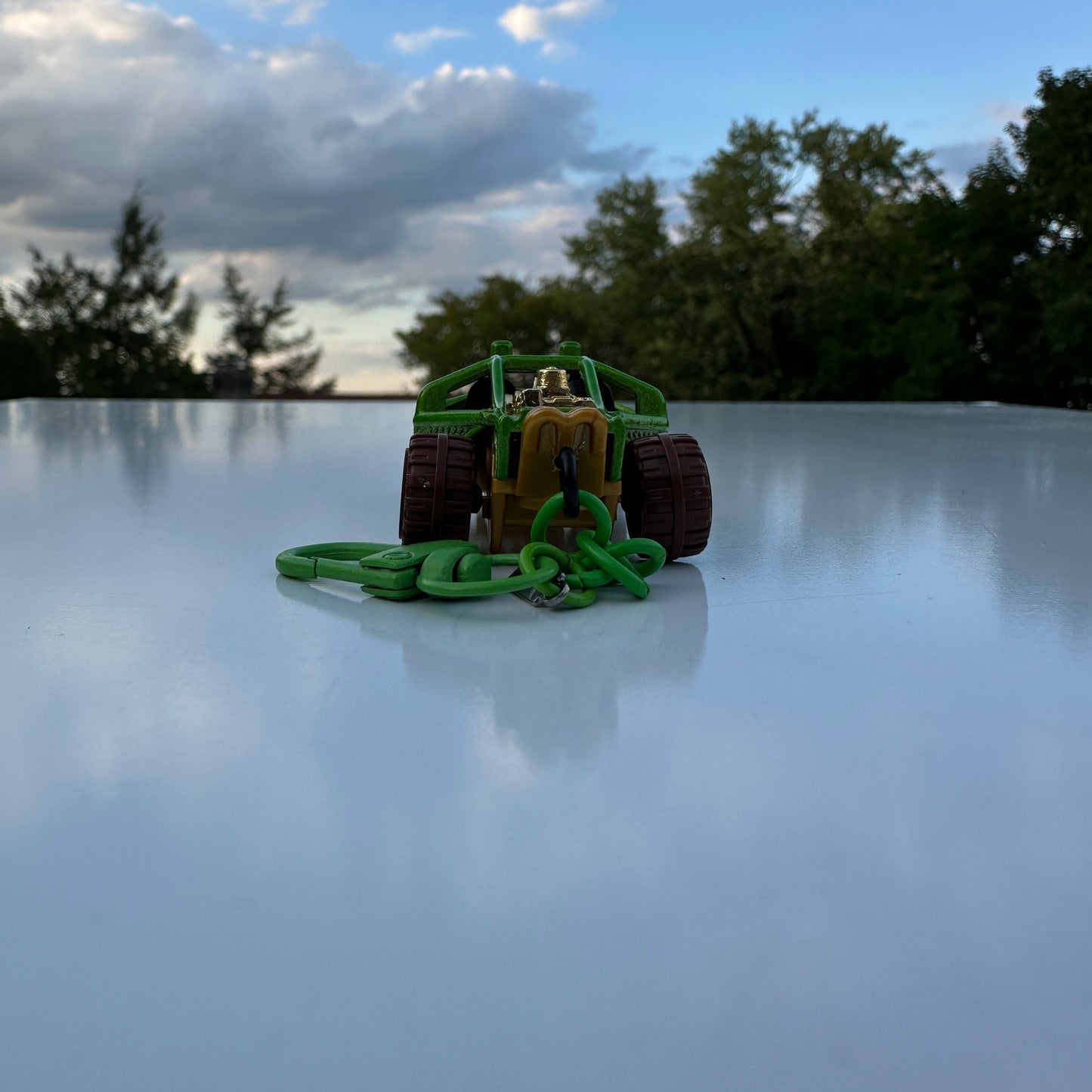 HW Roller Cage