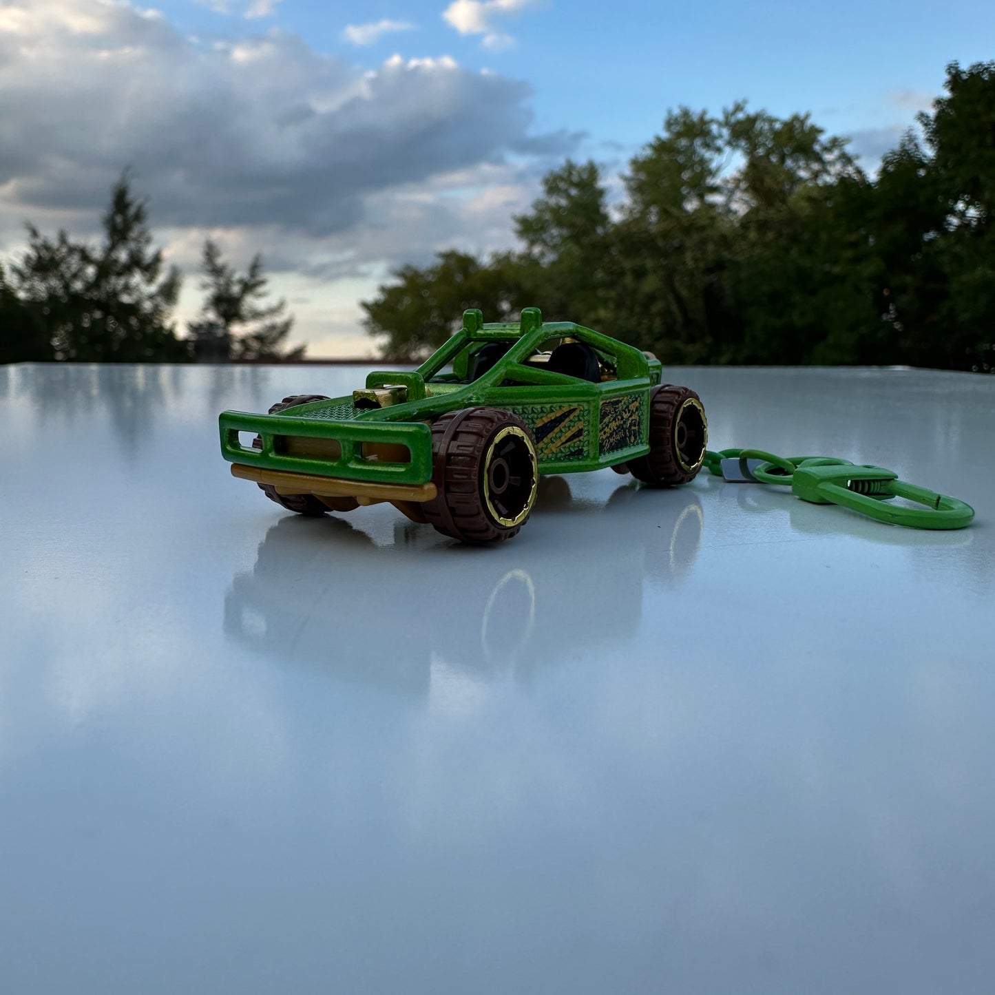 HW Roller Cage