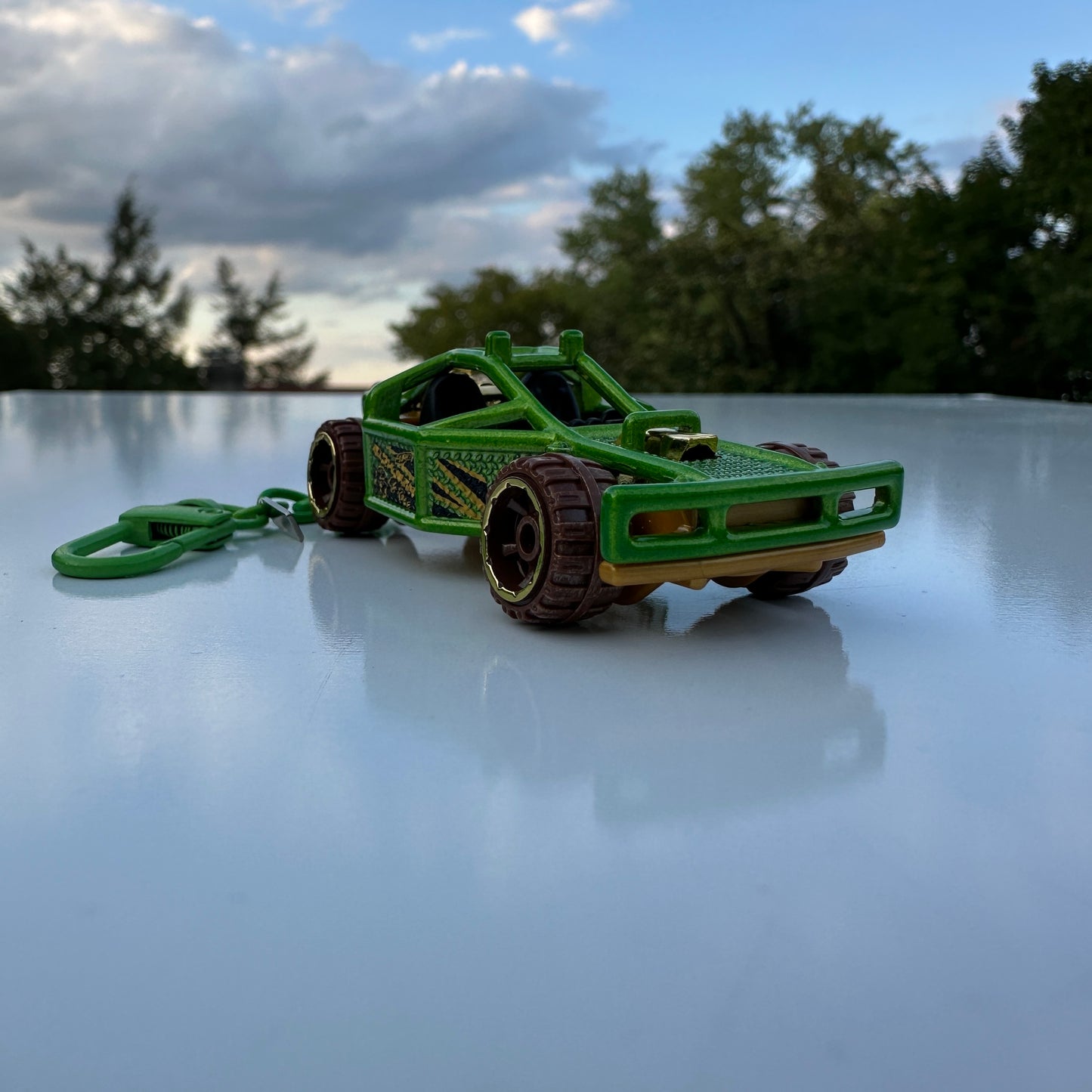 HW Roller Cage