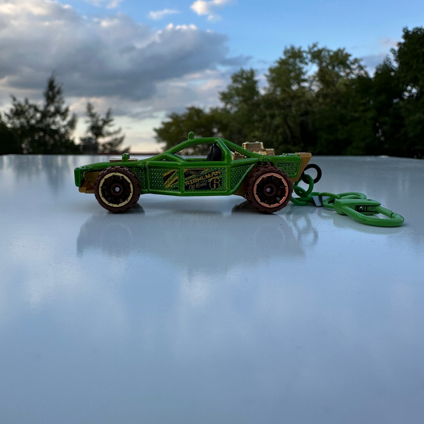 HW Roller Cage