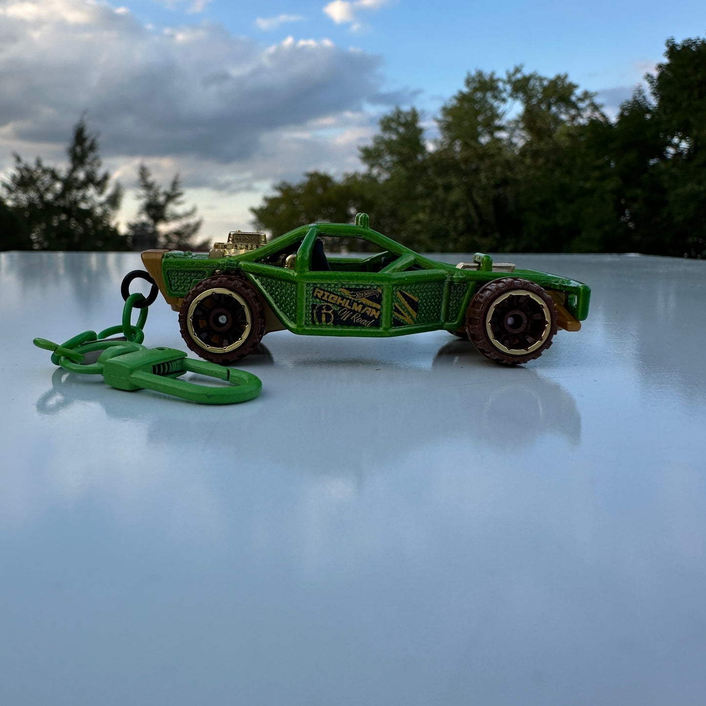 HW Roller Cage